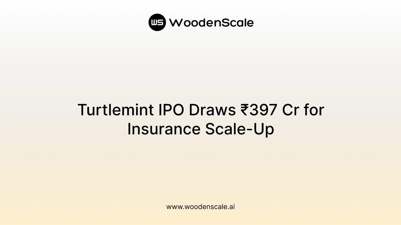 Turtlemint Funding